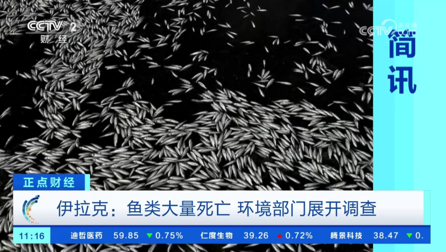 新澳门彩资料大全最新最快,13省份公布2024年人口数量,展开计划实施_尊享版V3.24