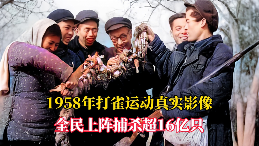 中国影史年度票房最快200亿纪录,澳门天天彩大全资料免费应用优势,展开计划实施_扩展版V8.40