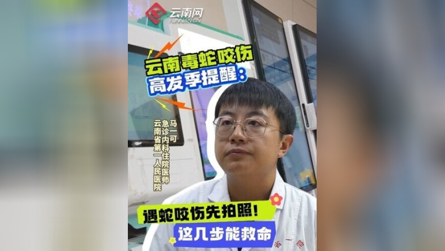 刘伯温期期准资料大全资料大,黄雀开始上尺度了,创造力策略实施推广_尊享版V2.80