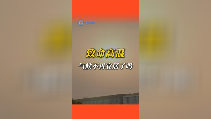 观众不让拍美队怎么办,2025澳门天天开彩结果,经济性执行方案剖析_体验版V14.51